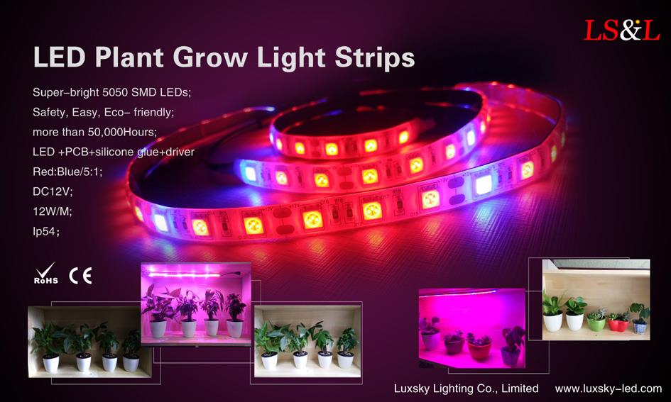 LED เติบโตไฟโรงงาน. jpg LED grow plant lights .jpg